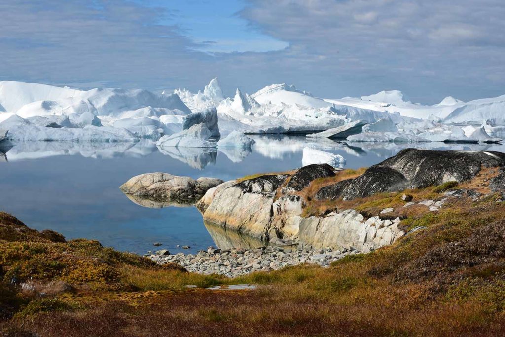 Spätsommerliche Tundra am Eisfjord bei Ilulissat in Westgrönland