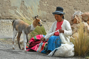 Aymara-Frau mit jungem Lama im Hochland von Peru_c Andreas Mieth